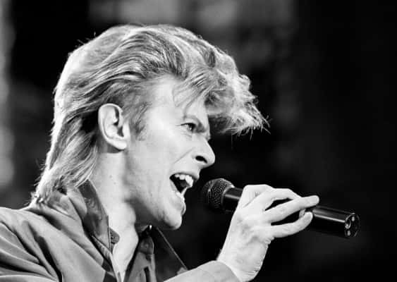 David Bowie Tribute: North East fans reveal their fondest memory of the idol