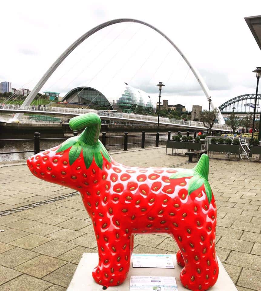 Snowdogs encouraging the public to get outdoors and explore the North East