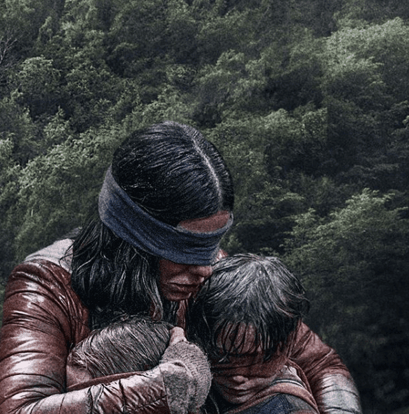 Review with spoilers: Bird Box