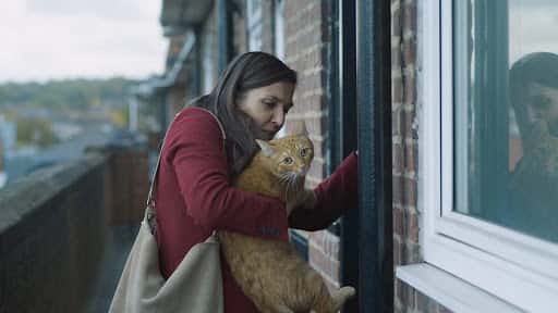 SXSW Film Festival Coverage – Movie Review: Cat in the Wall